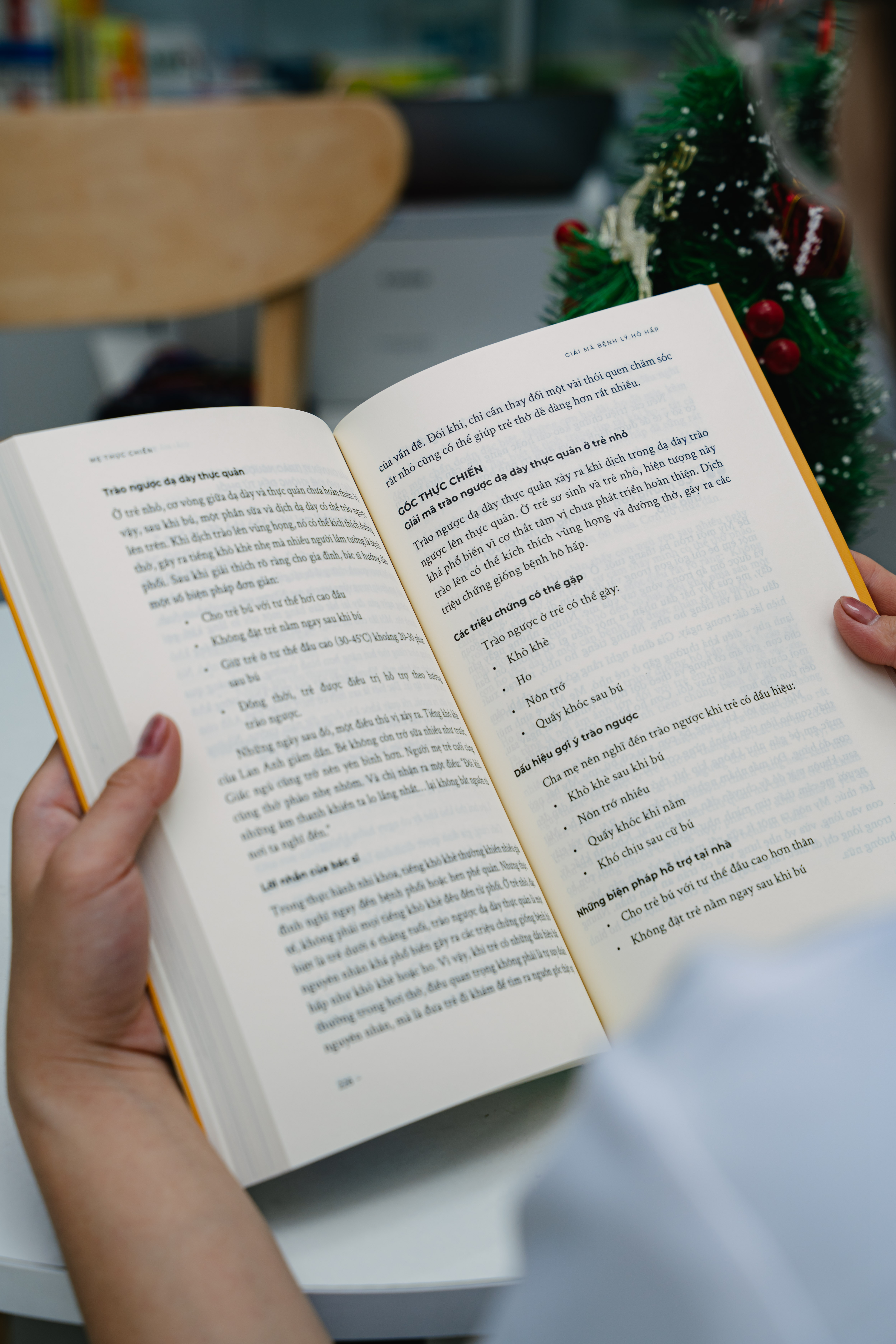 Ảnh minh hoạ 6