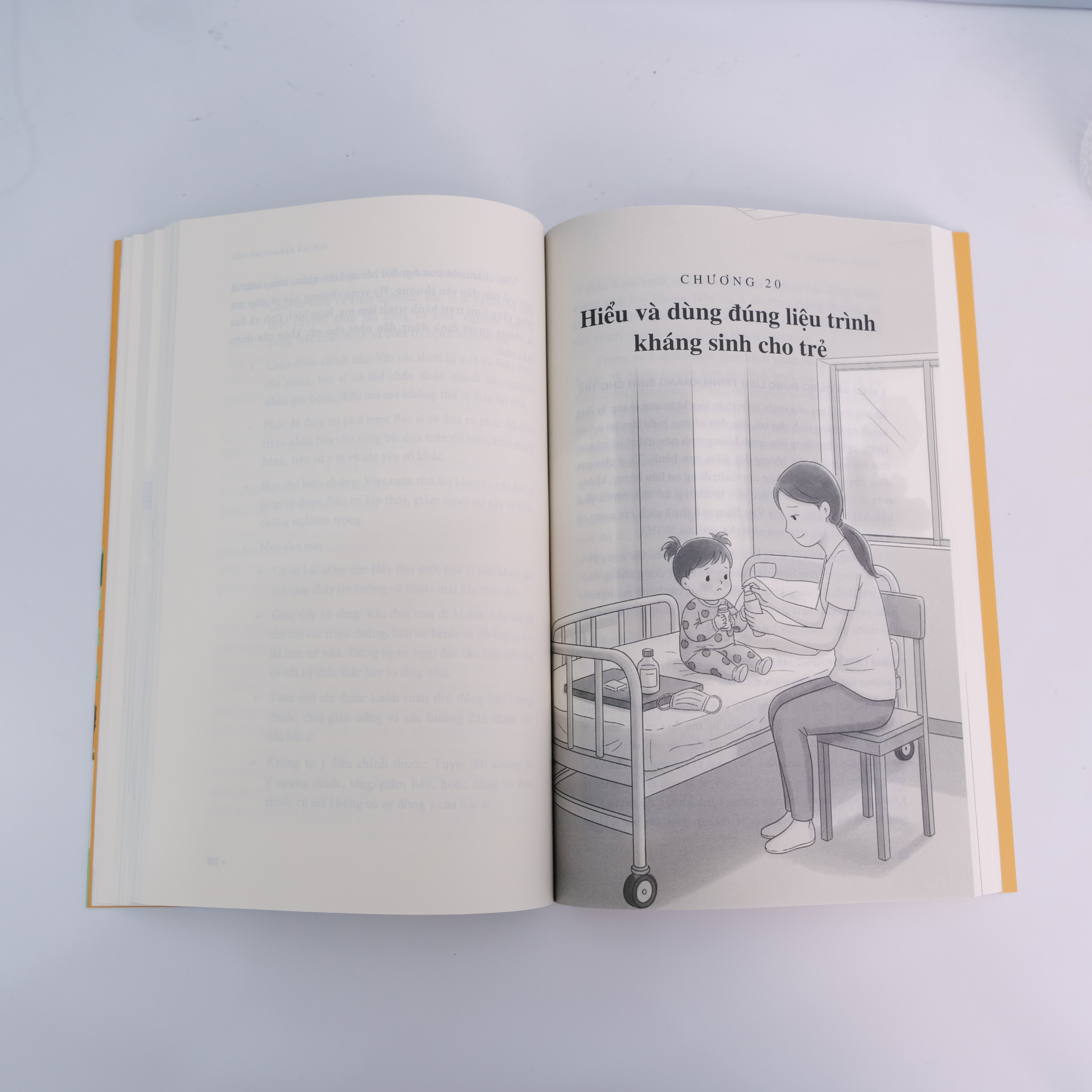 Ảnh minh hoạ 51
