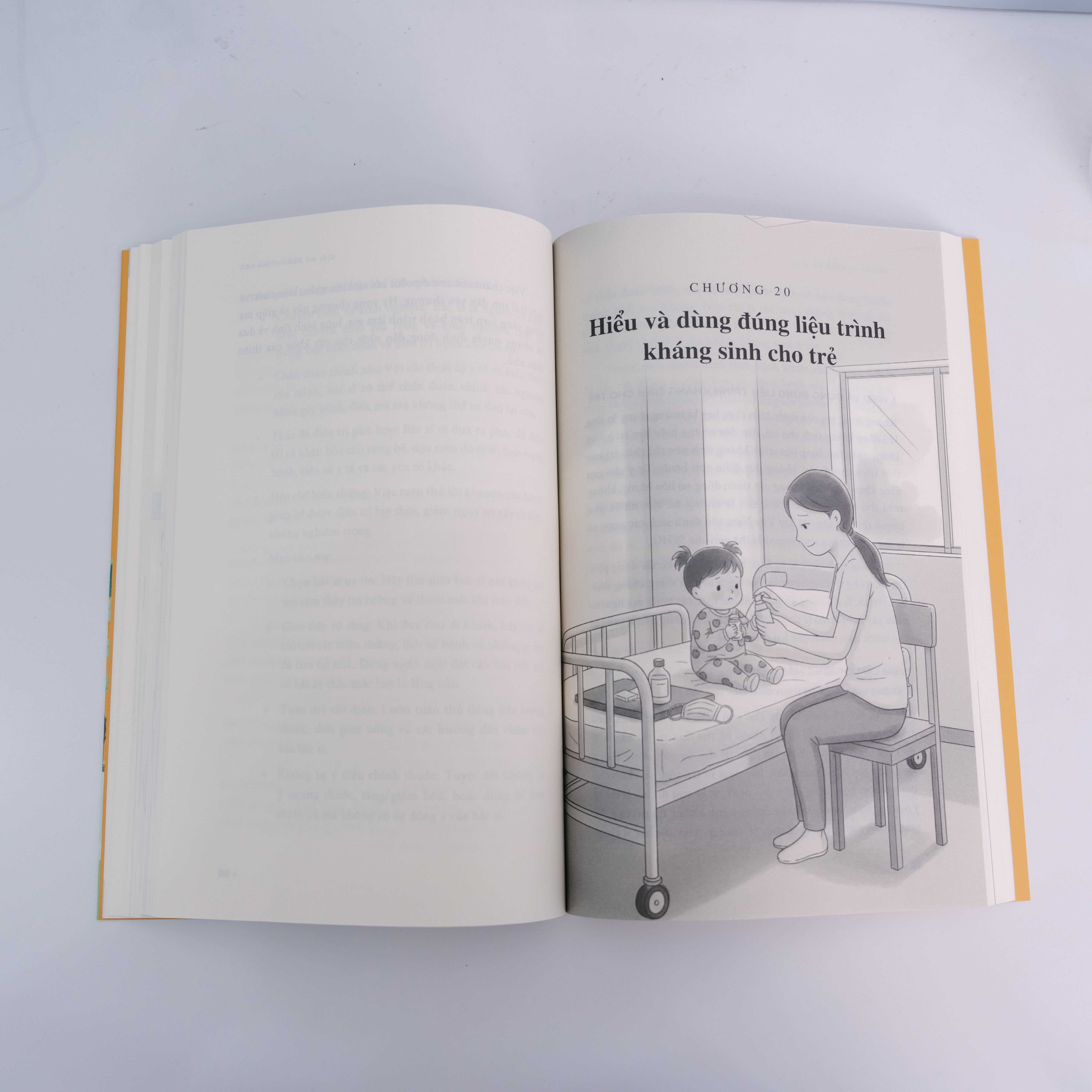 Ảnh minh hoạ 52